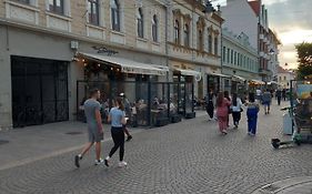 Darris Apartament Ultracentral
